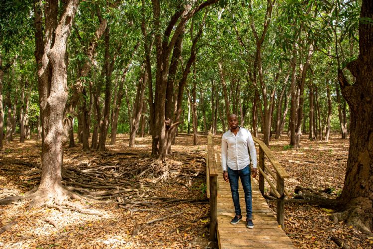 Hòfi Mango Hòfi Mango